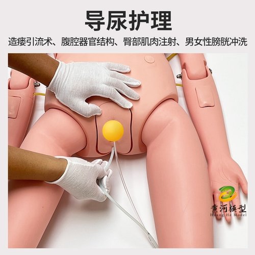 多功能护理人模型医学假人护士练习操作教学模特模拟人体模型男女 - 图0