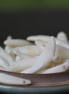 创意儿童护身狗牙挂件