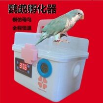 Peony and Upper Taiyang Hatching Machine Incubators Incubators Parrot Eggs Bird Eggs Small Home Type Fully Automatic Intelligence