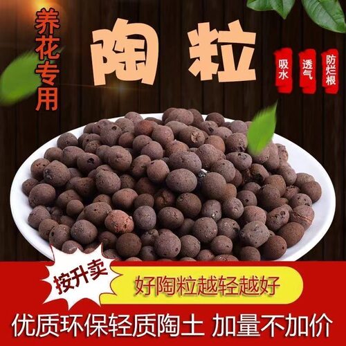 陶粒养花通用型花盆垫底园艺专用花卉颗粒土多肉土铺面石 - 图1
