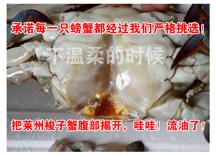 潍坊羊口咸蟹子酱蟹梭子蟹腌飞蟹生吃醉蟹呛蟹即食 莱州腌蟹咸蟹,淘宝优惠券,粉丝福利购,淘宝优惠卷