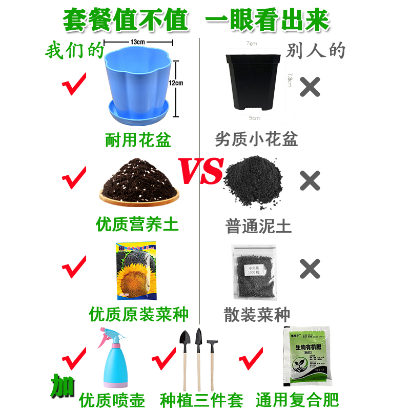 花种子小学生种植套餐观察实验蔬菜种子套餐满天星向日葵玫瑰盆栽 - 图1