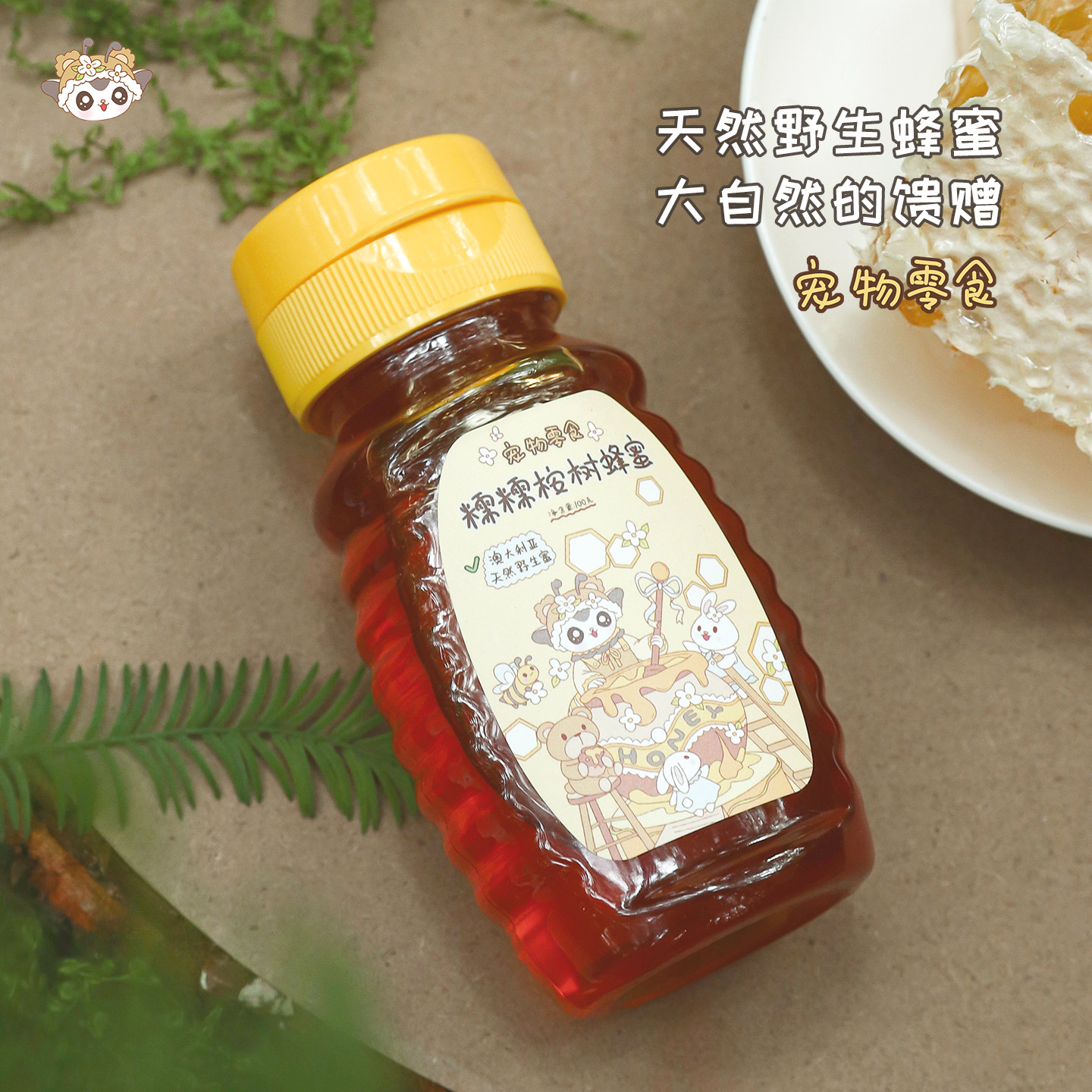 【糯糯桉树蜂蜜】蜜袋鼯猫狗松鼠鹦鹉宠物专用蜂蜜促进肠胃消化,淘宝优惠券,粉丝福利购,淘宝优惠卷