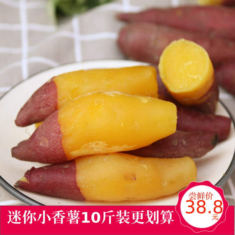 临安小香薯10斤天目山迷你小红薯 薯你棒番薯