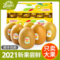New Zealands Golden Gow 18-22 Head Big Fruit New Zealand Import Chipagot National Beijing East Jiego Exotic Fruits