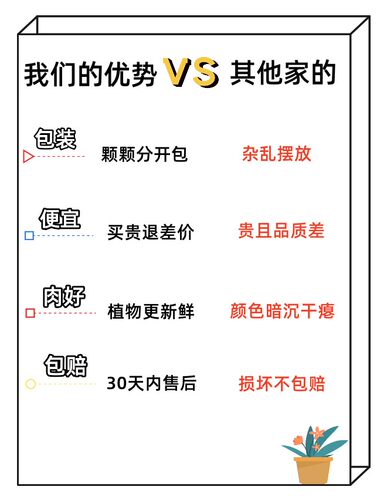 多肉植物组合精品盆栽套餐 阳台室内花卉小盆栽懒人绿植 基地直发 - 图2