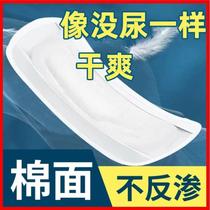 Leakage Urine Special Pad Water Suction Towels Adult Paper Diaper for aged urine not wet men and women Men and women Batch Sanitary Napkins