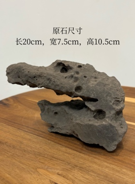 金融大鳄 天然太湖石摆件 象形石 回头扬子鳄 书桌办公桌面置景