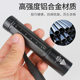 365 purple filter flashlight cat moss fluorescence detection
