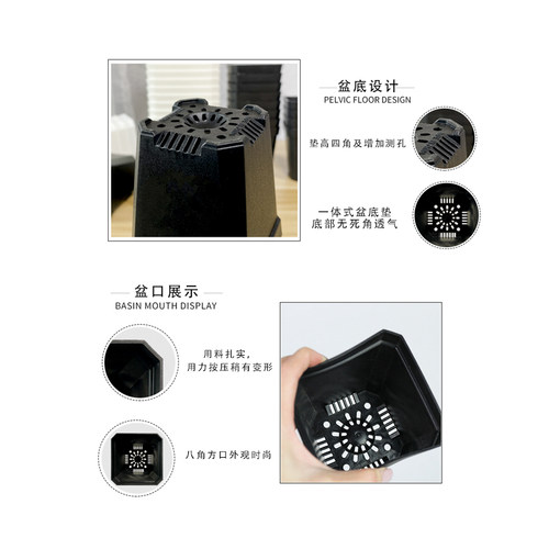 热卖八角加厚小白方多肉花盆特厚塑料方形植物叶插育苗盆大黑方盆 - 图2