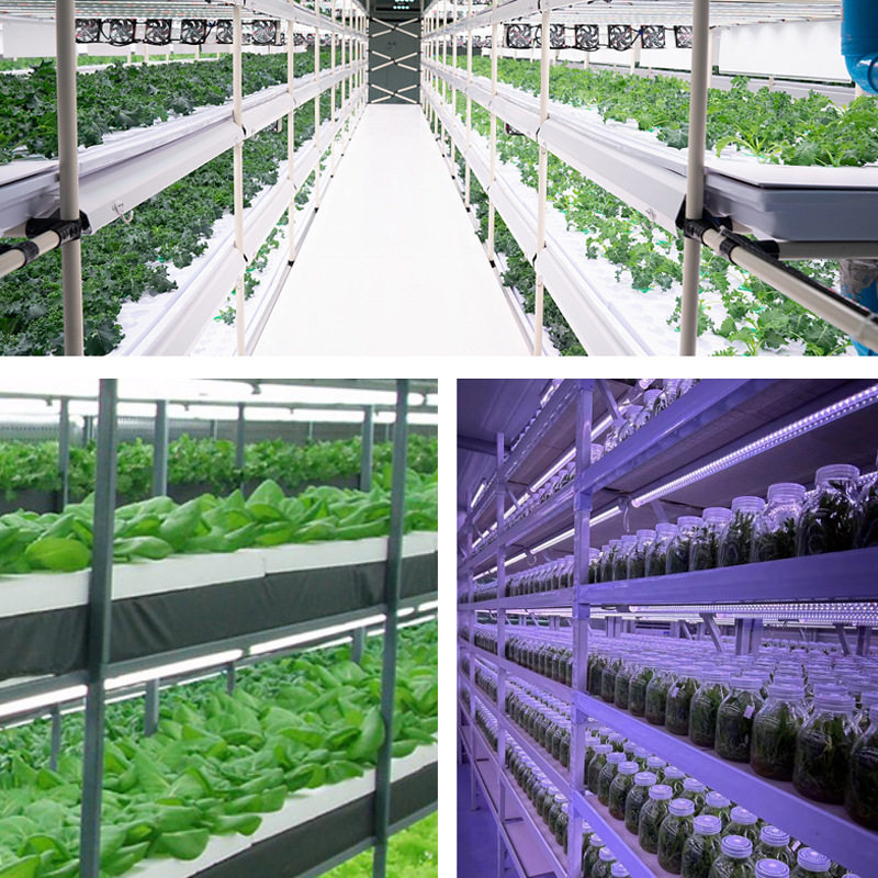 led全光谱植物生长灯室内花架双排红蓝光多肉绿植组培种植补光灯,淘宝优惠券,粉丝福利购,淘宝优惠卷