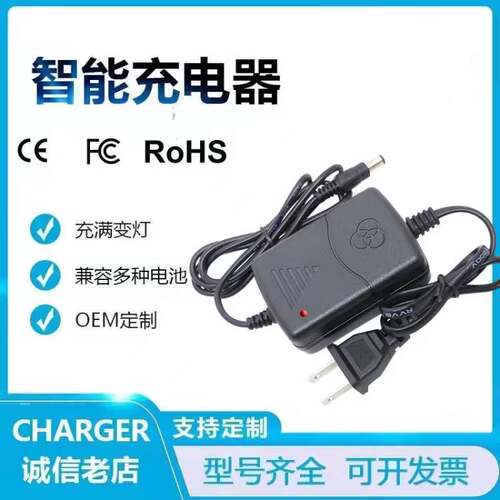 12V5Ah6aH7AH12V10ah20AH30AH4.5AH50AH60AH铅酸电池电动车充电器 - 图1