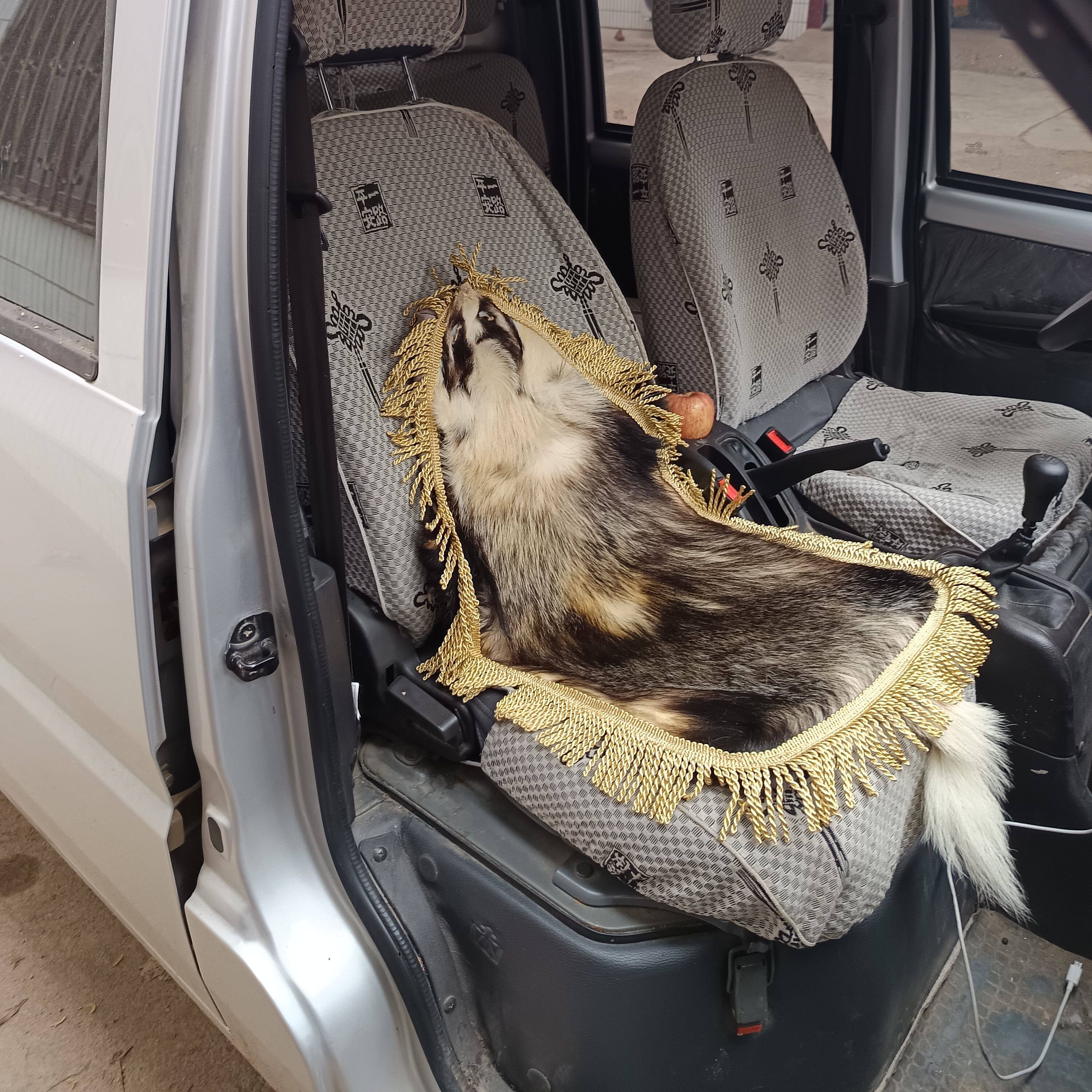 獾皮汽车坐垫整张真皮原皮沙发垫痔疮座垫车垫透气四季通用獾子皮