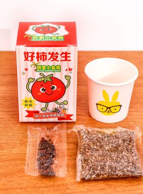 儿童种植盆栽幼儿园礼物