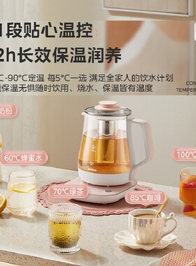 美的多功能炖汤药膳养生壶