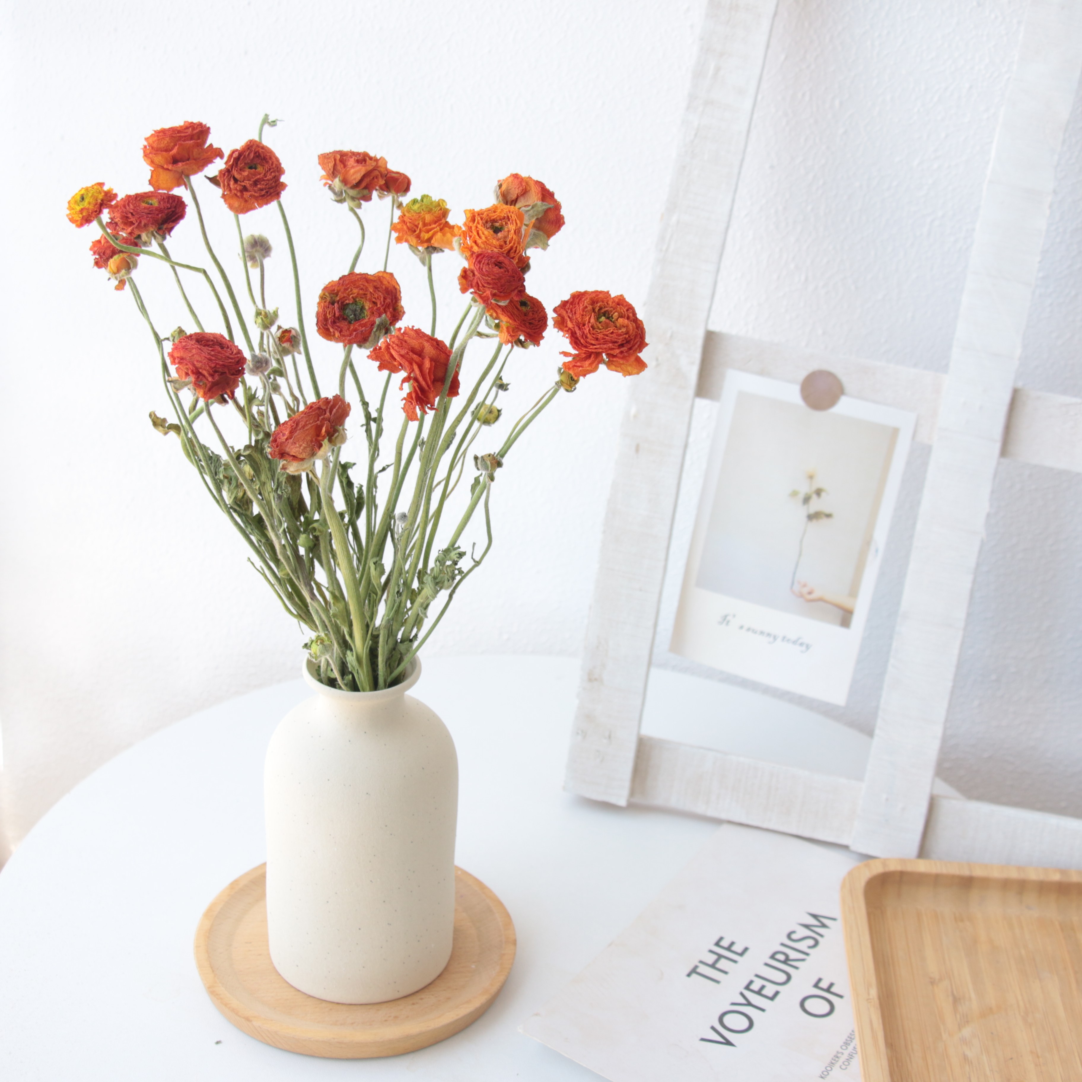 今年新货天然干燥洋牡丹真花自然风干花束家居装饰桌面摆件+花瓶,淘宝优惠券,粉丝福利购,淘宝优惠卷