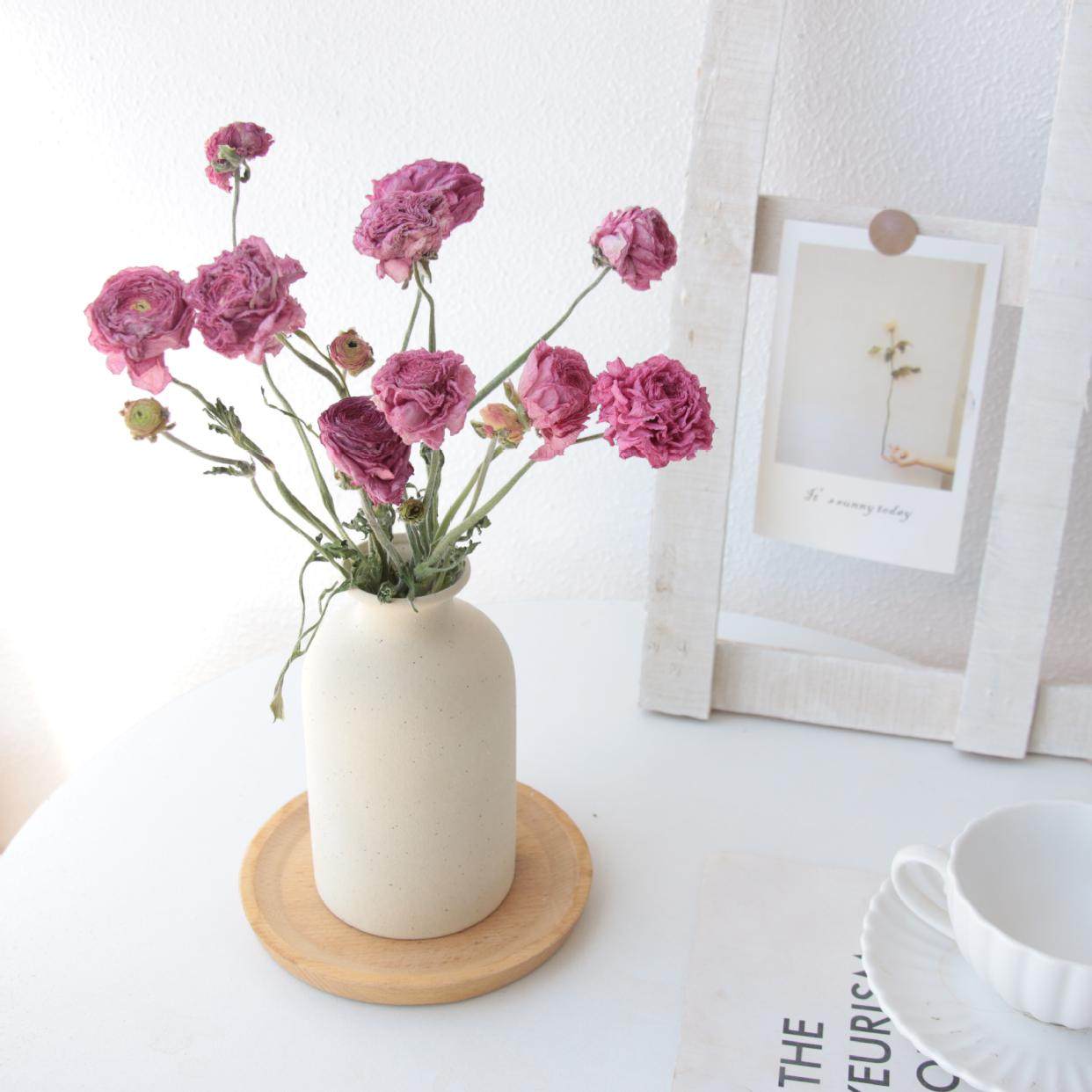 今年新货天然干燥洋牡丹真花自然风干花束家居装饰桌面摆件+花瓶,淘宝优惠券,粉丝福利购,淘宝优惠卷