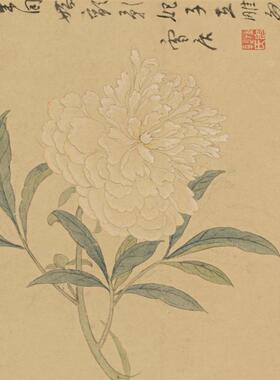 《百花图》卷明代孙克弘作纸本设色微喷复Q制临摹学习国画画稿