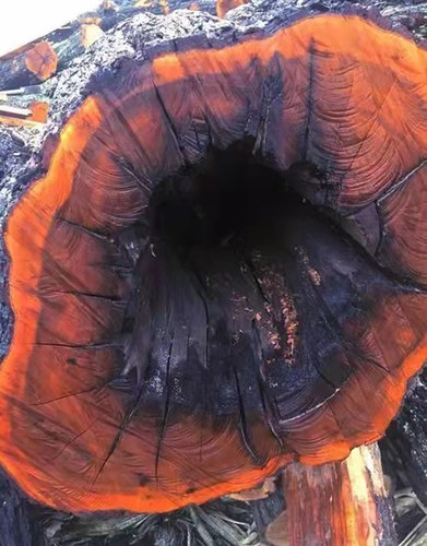 真雷击木道家乾坤圈法器阴阳环雷击枣木桃木一体成型镯子一整木料 - 图3