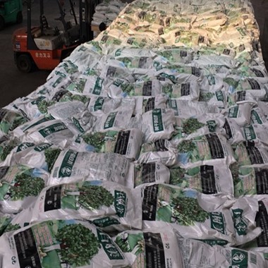 树木树干涂白剂果树树杆涂白防冻防病害防寒杀菌园林苗木刷白送刷,淘宝优惠券,粉丝福利购,淘宝优惠卷