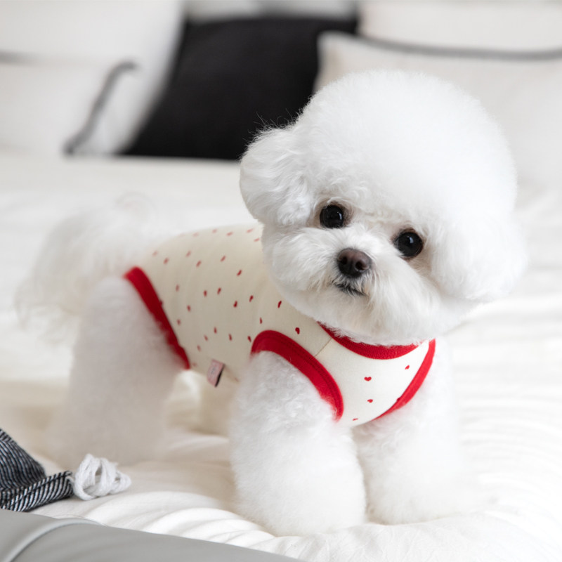 Spring and autumn pure cotton four-legged belly jacket