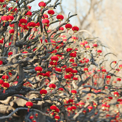 小红灯笼挂饰2025新款新年春节大门口植绒过年喜庆绿植装饰品挂件