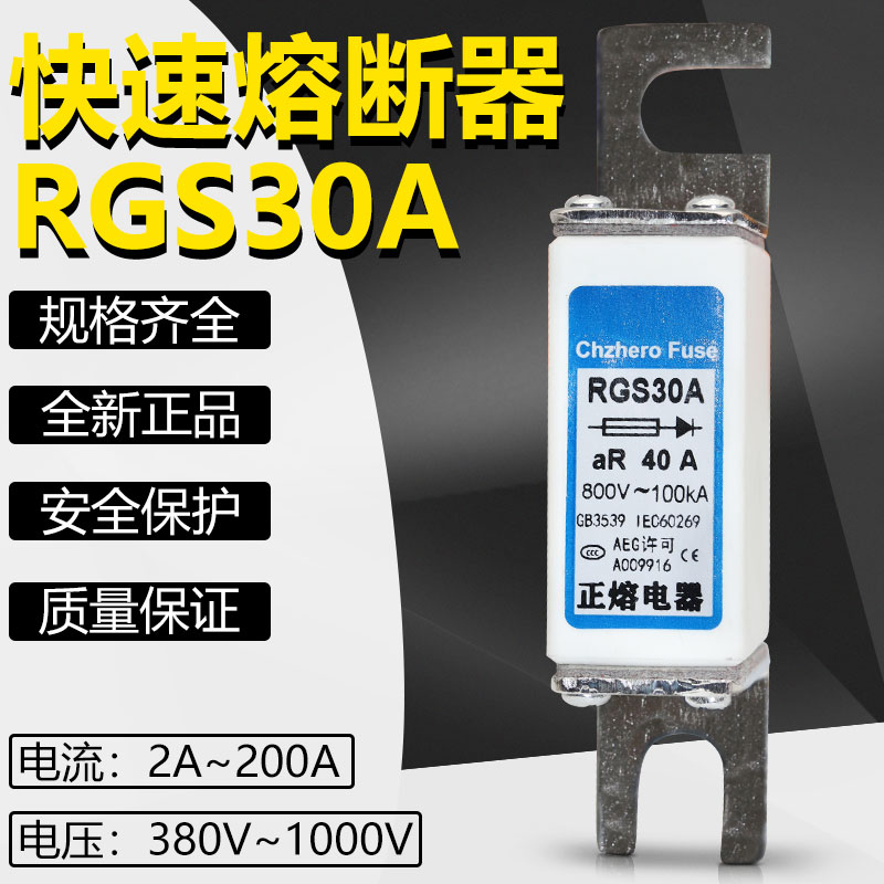 RGS30A 660V690V30A25A20A16A15A12A10A6A5A2A快速熔断器 - 图1