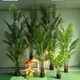 Simulated sunflower tropical floor plant potted green plants