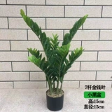 Моделирование завода внутреннее украшение крупной черепахой