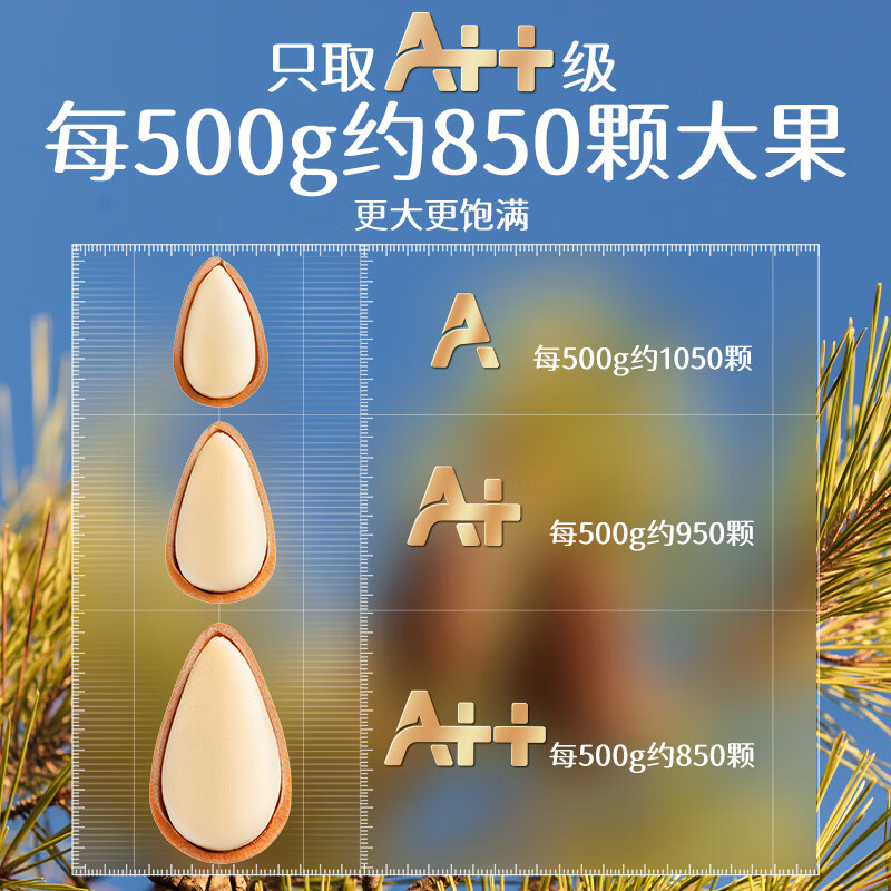 三只松鼠罐装大颗粒东北松子500g坚果炒货量贩手剥开口干果零食-图1