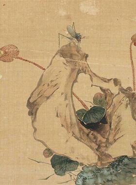 居廉 花卉奇石册页十二开植物装I饰画国画高清微喷复制临摹手稿