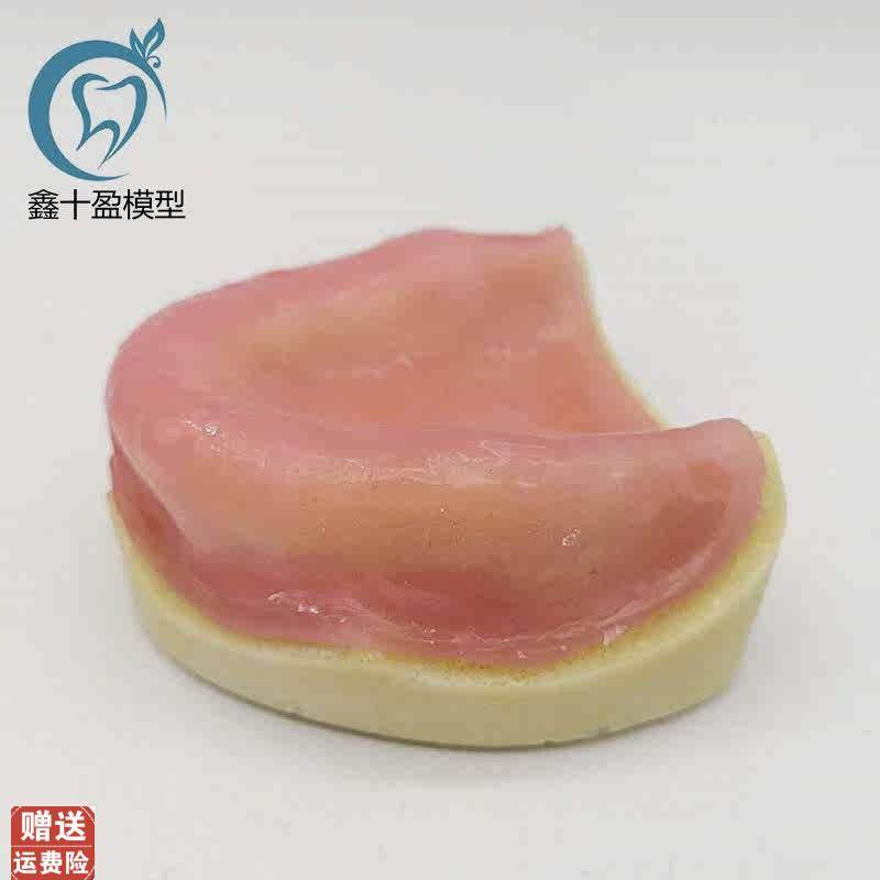 牙科牙齿种植模型全口r种植练习模型软牙龈口腔操作种植练习包邮,淘宝优惠券,粉丝福利购,淘宝优惠卷