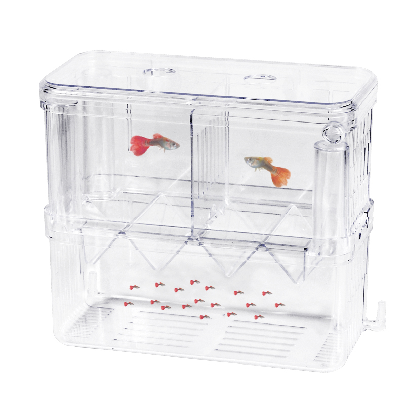 鱼缸孵化箱孔雀鱼产卵器中小型鱼大号小号产卵器独立繁殖盒隔离盒-图3