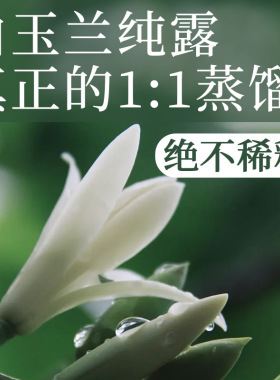 白玉兰纯露11蒸馏不稀释补水