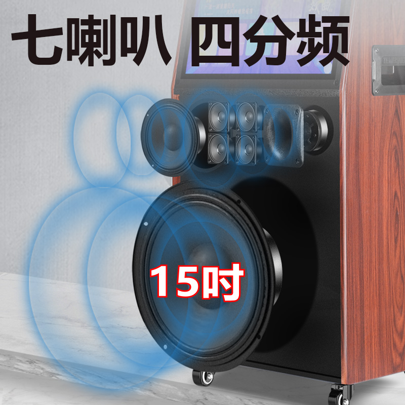 特美声SH-1广场舞音响带显示屏户外大功率音箱功放一体机旗舰店 - 图0