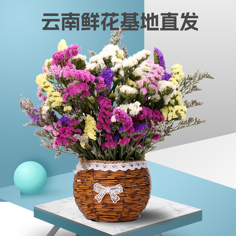 云南基地直发勿忘我风干鲜花真花混搭情人草风干花束天然鲜花M1