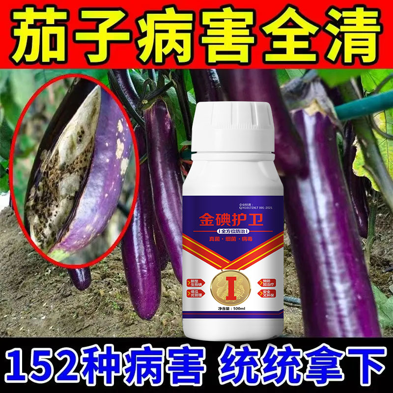 茄子病全治杀菌剂茄子专用药灰霉白粉炭疽枯萎黄萎病毒茄子专用药