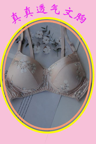 花色100%双面桑蚕丝有圈无圈薄款透气春姿鸟AB杯保健文胸特价直销 - 图0
