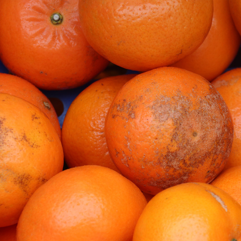 广西正宗武鸣沃柑花斑果5斤贵妃柑新鲜橘子水果应季水果薄皮,淘宝优惠券,粉丝福利购,淘宝优惠卷