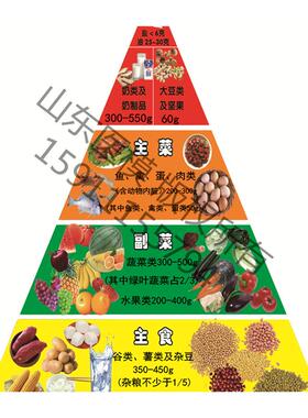 哺乳期妇女膳食i宝塔模型孕妇膳食宝塔模型乳母产妇膳食指导模型