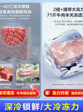 海尔商用大容量冷藏冷冻茶叶柜