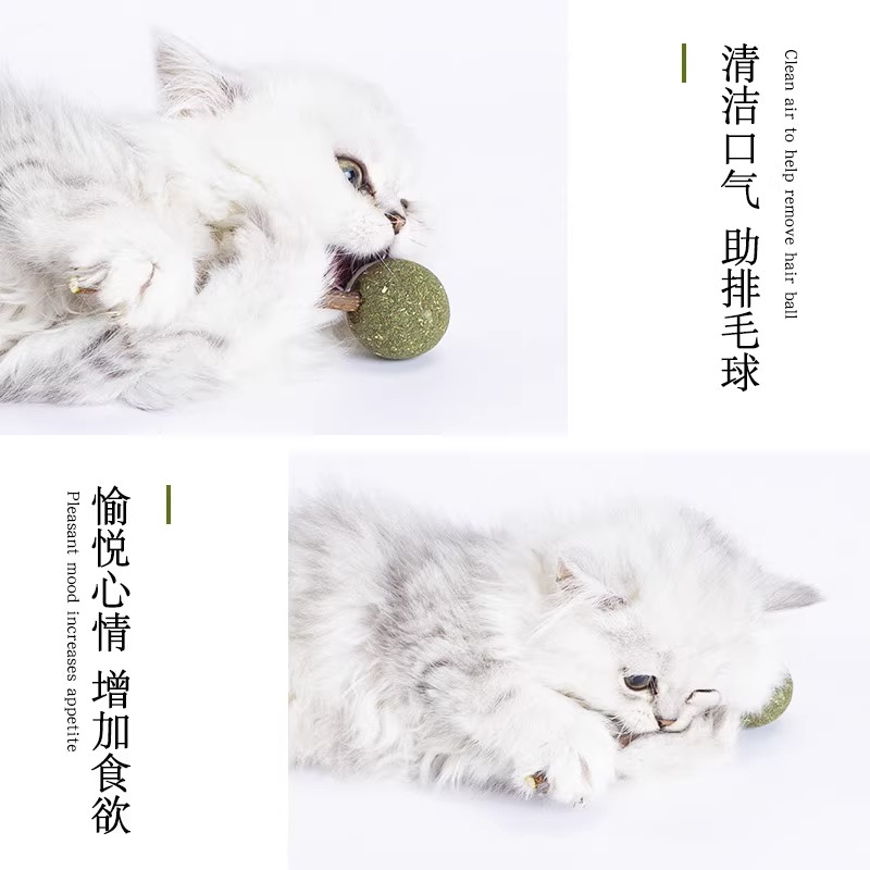 猫薄荷球棒棒糖猫咪零食磨牙棒舔舔乐木天蓼猫饼干逗猫棒玩具用品 - 图0