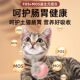 Special food for adult cats to protect the intestines and strengthen bones