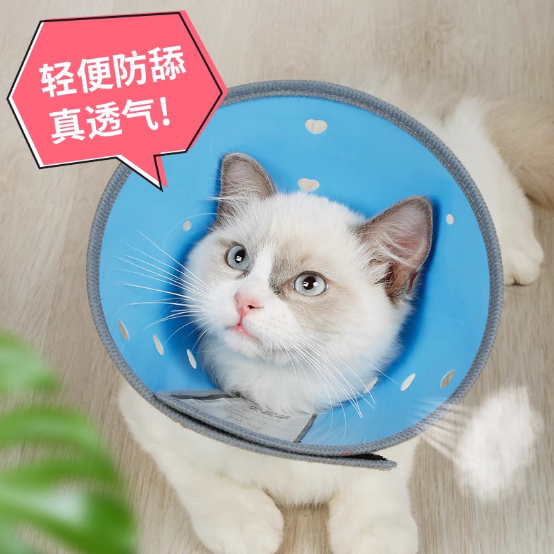 伊丽莎白圈猫绝育项圈猫咪防添头套围脖伊丽莎白伊利沙白圈狗脖圈 - 图0