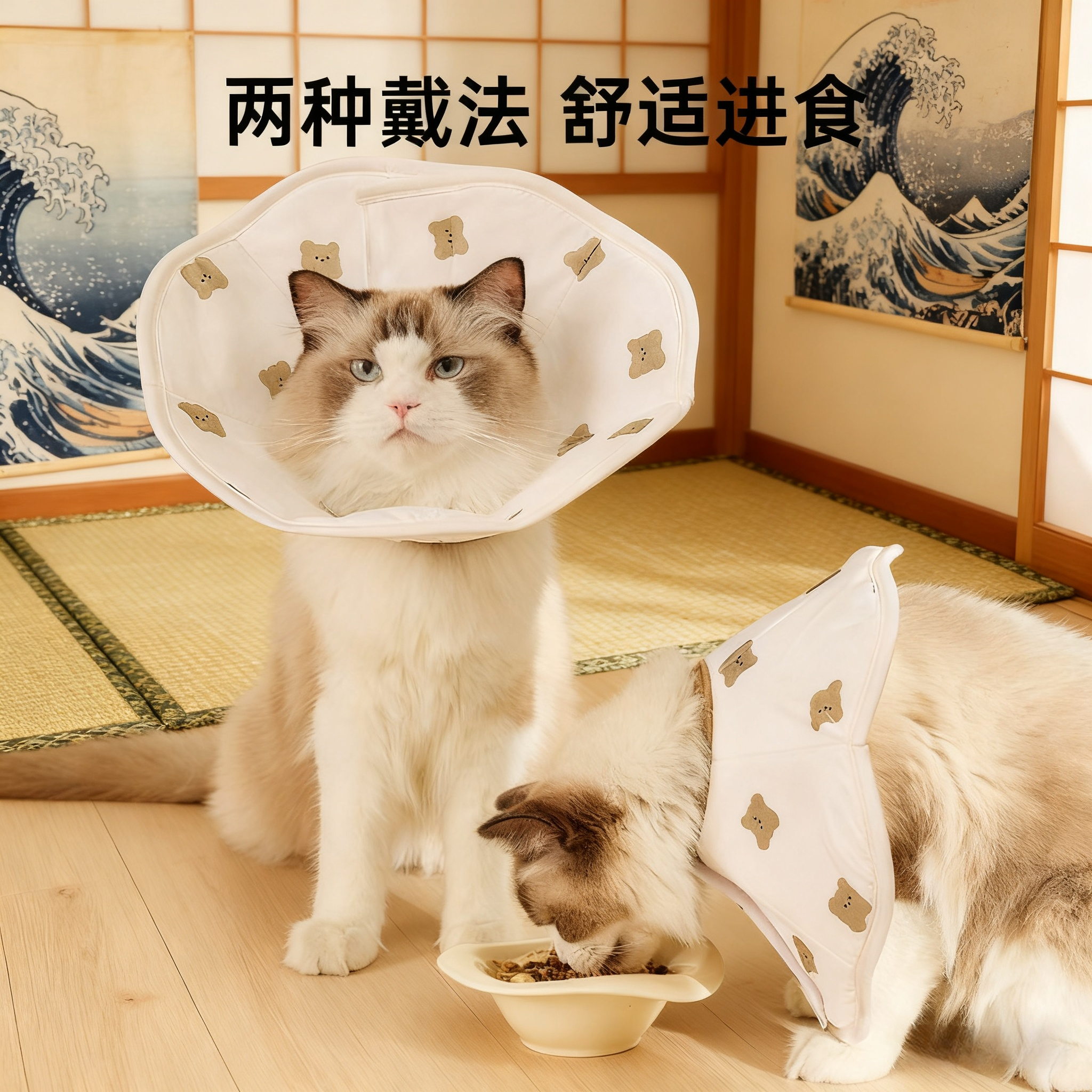 猫咪伊丽莎白圈驱虫绝育防舔专用猫头套可调节小型犬狗狗防水脖圈,淘宝优惠券,粉丝福利购,淘宝优惠卷