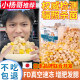 Freeze-dried cat snacks, chicken nuggets, fattening and nutritious hair strips