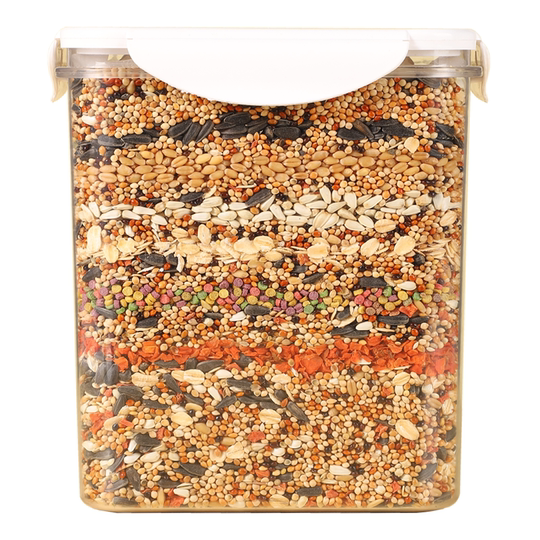 Fresh and plump! New mixed nutritional food for parrots in shell