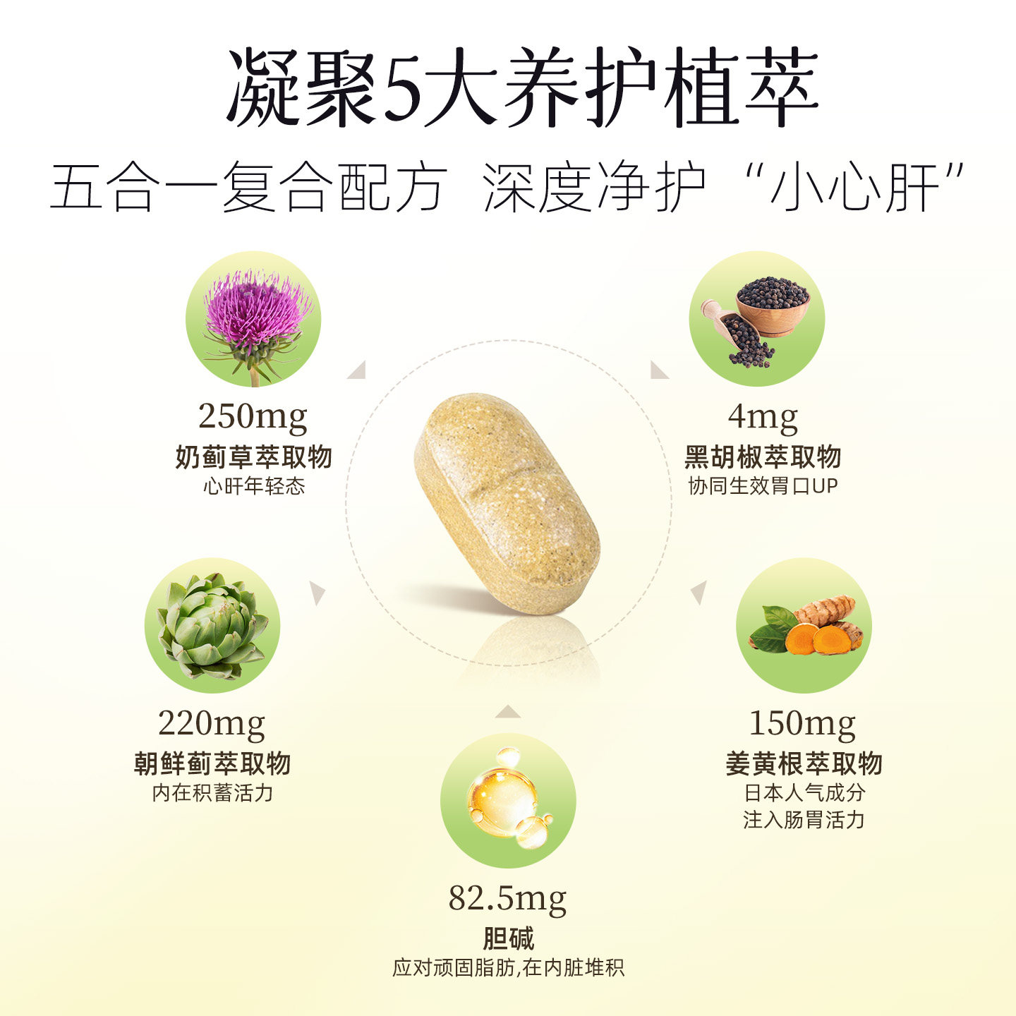 NewNordic小银树80倍高浓度奶蓟草护旰片30片加班熬夜解酒水飞蓟