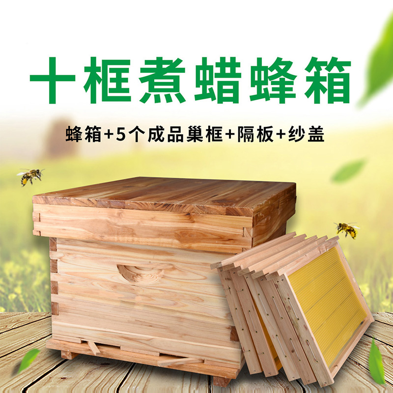 中蜂蜜蜂蜂箱全套养蜂工具专用养蜂箱包邮煮蜡杉木标准十框蜂巢箱