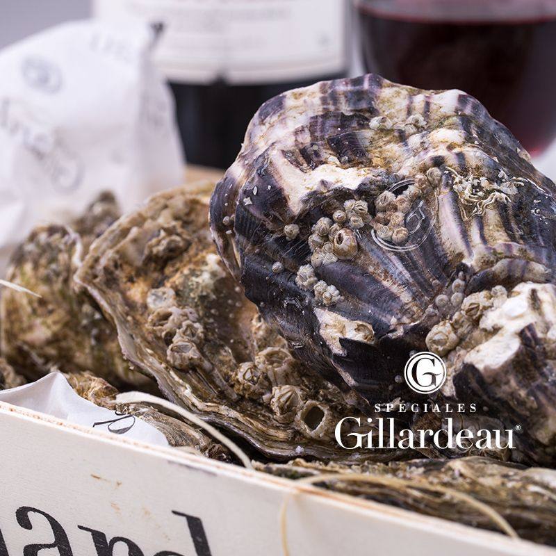 吉娜朵法国生蚝特大只2.5公斤盲盒 空运鲜活 即食 进口 刺身牡蛎,淘宝优惠券,粉丝福利购,淘宝优惠卷